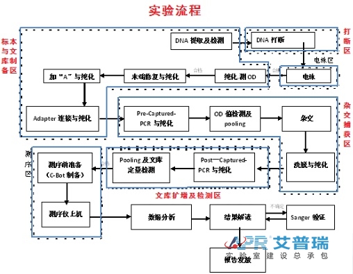 遗传病诊断+肿瘤诊断与治疗技术流程（www.zhezheyou.com）